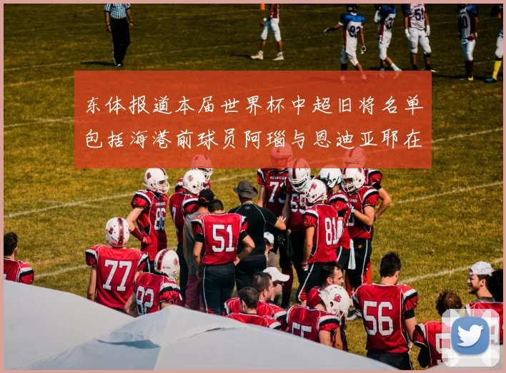 东体报道本届世界杯中超旧将名单包括海港前球员阿瑙与恩迪亚耶在内的10位球员